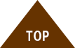 ページTOPに戻る